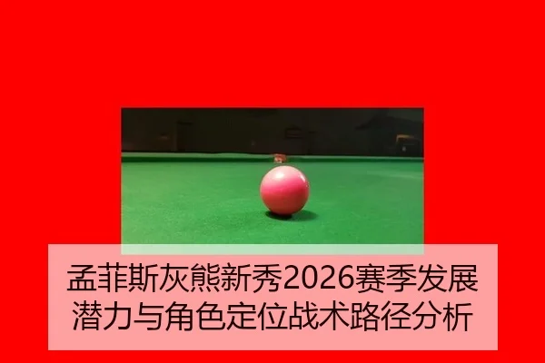 孟菲斯灰熊新秀2026赛季发展潜力与角色定位战术路径分析