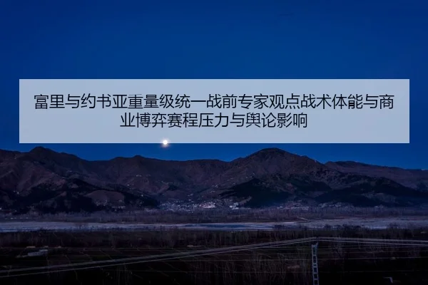 富里与约书亚重量级统一战前专家观点战术体能与商业博弈赛程压力与舆论影响