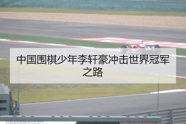 中国围棋少年李轩豪冲击世界冠军之路